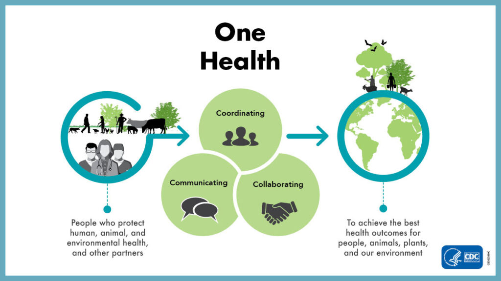 Graphic of how "One Health" works. People who protect human, animals, and environmental health, and other partners work through collaboration, communication, and coordination to achieve the best health outcomes for people, animals, plants, and our environment.